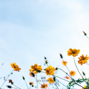 Spring